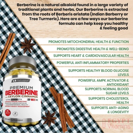 Natuspur Premium Berberine HCL