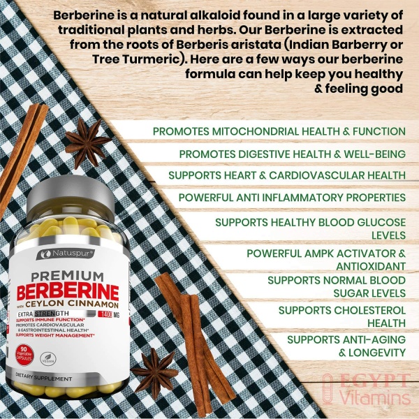 Natuspur Premium Berberine HCL