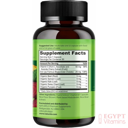 NATURELO Vegan Iron Supplement with Whole Food Vitamin C - Best Natural Iron Pills for Women & Men w/ Iron Deficiency Including Pregnancy, Anemia and Vegan Diets - 90 Mini Capsules ناتشريلو حديد نباتى مع فيتامين ج ، أفضل حبوب حديد طبيعى للرجال والنساء ، لعلاج فقر الدم و للأمهات الحوامل ، 90 كبسولة صغيرة