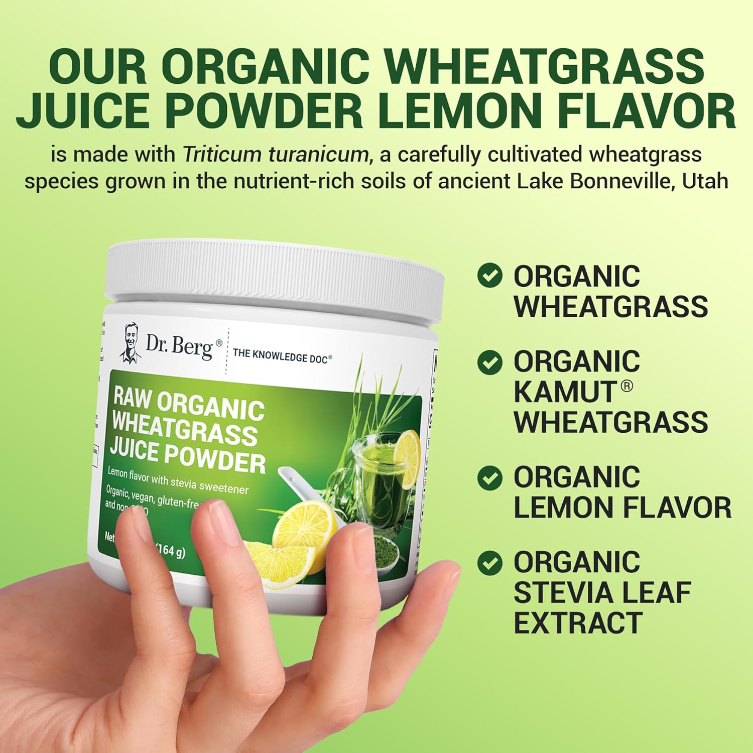 Dr. Berg's Raw Wheatgrass Juice Powder (Lemon Flavor) – 164 Grams - Image 5