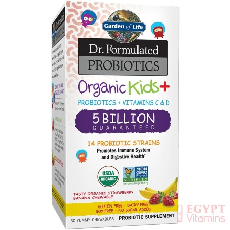 Garden of Life Dr. Formulated Probiotics Organic Kids+ plus Vitamin C & D ,Immune & Digestive Health , 30 Chewsبروبيوتيك عضوى للأطفال مع فيتامين ج وفيتامين د لصحة الجهاز الهضمى والجهاز المناعى ، 30 قطعة قابلة للمضغ