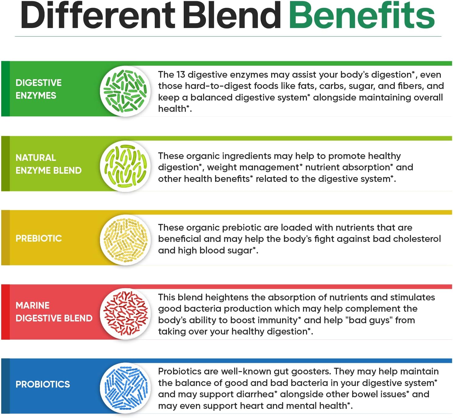 Wholesome Wellness, Digestive Enzymes 1000MG, Blend Benefits