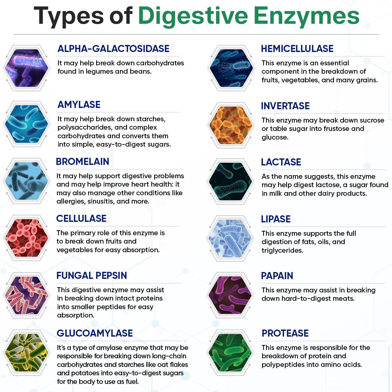 Wholesome Wellness, Digestive Enzymes 1000MG, Types of digestive enzymes