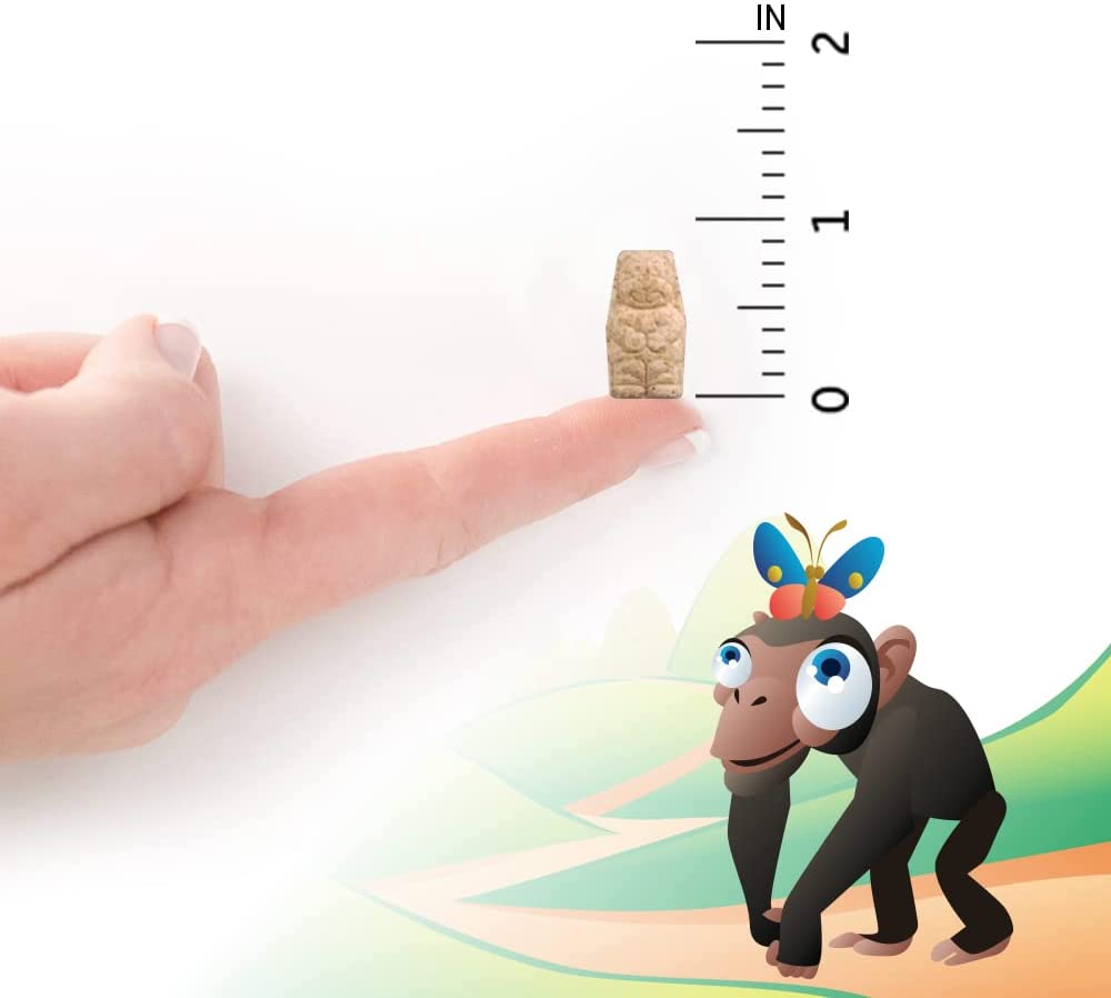 Garden of Life Vegetarian Multivitamin Supplement For Kids, Vitamin Code Kids Chewable Raw Whole Food Vitamin With Probiotics, 60 Chewable Bears جاردين أوف لايف فيتامين كود طعام خام كامل قابل للمضغ مع البروبيوتيك للأطفال 60 دببه قابلة للمضغ - Image 3