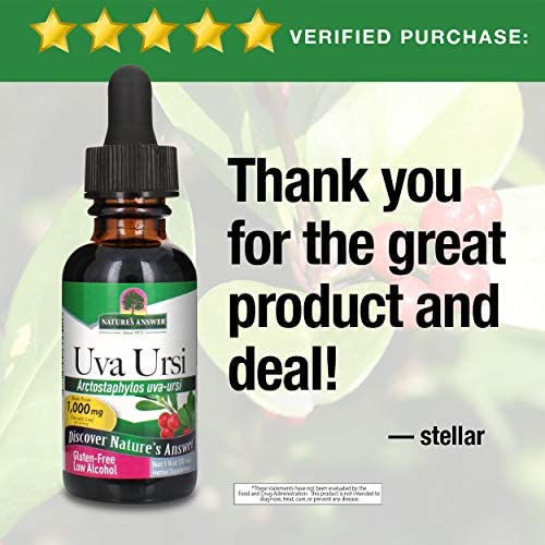 Nature's Answer Uva Ursi Leaf Liquid Drops with Organic Alcohol, 1-Fluid Ounce | Promotes Urinary Tract Health | UTI Relief | Natural Kidney Detox - Image 5
