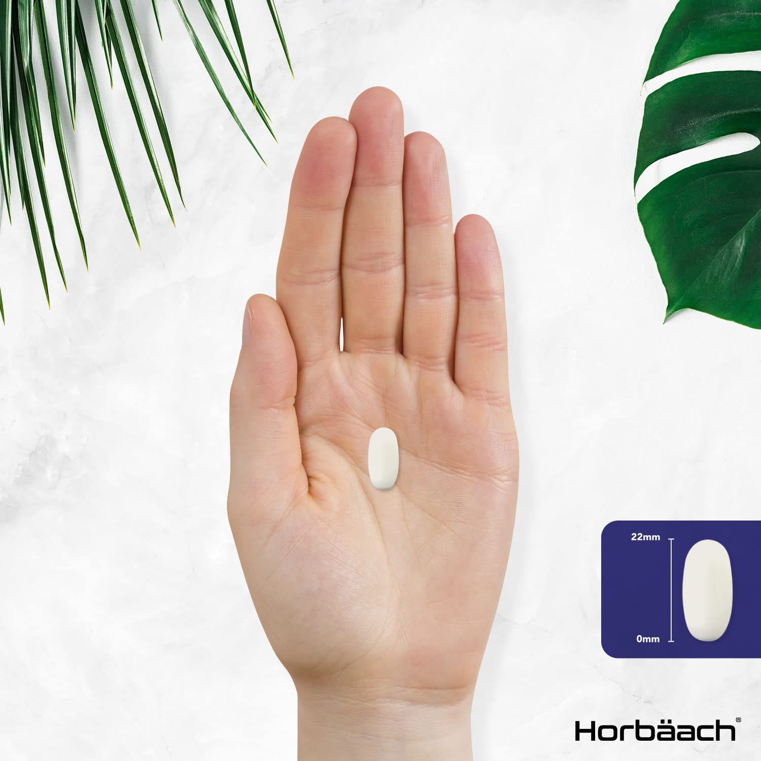 Horbaach L-Lysine 1000mg | Cold Sore Treatment, Essential Amino Acid| 180 Tablets - Image 3