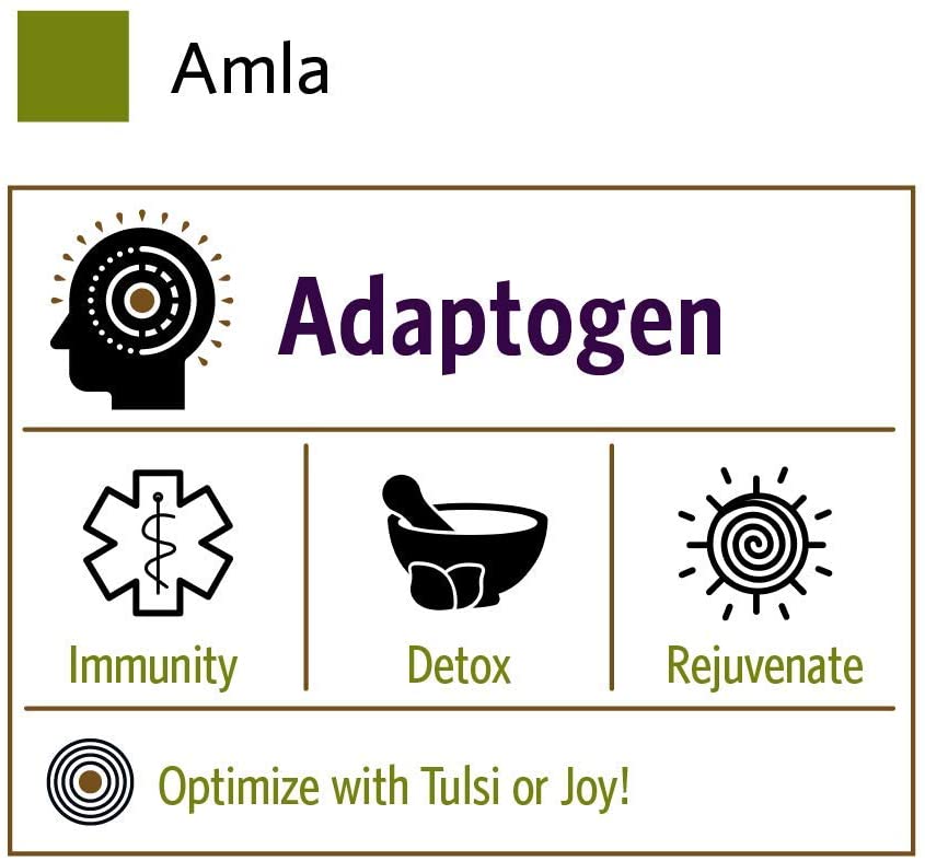 Organic India Amalaki Herbal Vitamin Supplement - Immune Support, Vitamin C, Antioxidant, 90 Capsules