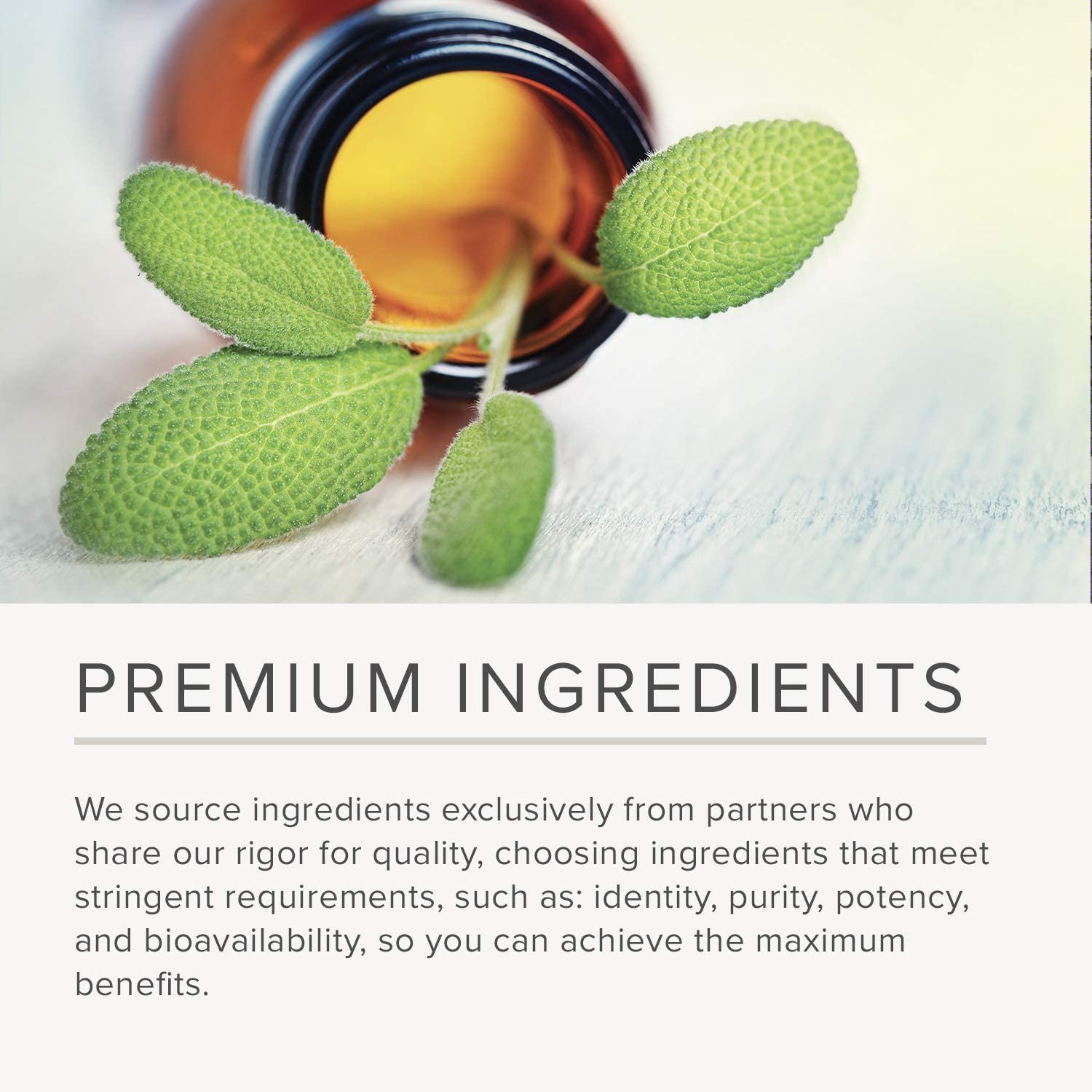 Nusapure Pure Garcinia Cambogia 180 Veggie Caps 1500mg (Vegetarian, Natural, Non-GMO & Gluten Free) نياسا بيور الجارسينيا كامبوجيا النقية 1500 مجم ، نباتى وطبيعى ، لفقدان الوزن ولدعم إنتاج الطاقة ، 180 كبسولة نباتية - Image 8