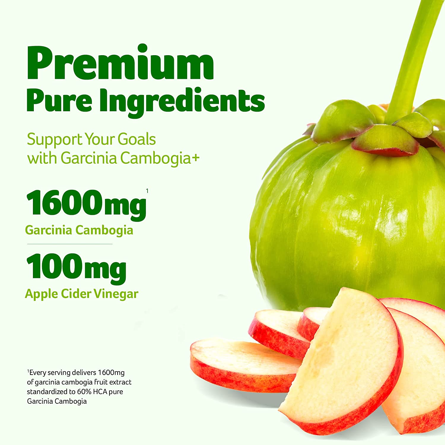 Purely Inspired Garcinia Cambogia Weight Loss Pills for Women & Men | Purely Inspired 100% Pure Garcinia Cambogia | Green Coffee Bean Extract & ACV | Weight Loss Supplement Pills | Weight Loss Products | 120 Pills الجارسينيا كامبوجيا مع حبوب القهوه الخضراء وخل التفاح لفقدان الوزن 120 حباية - Image 4