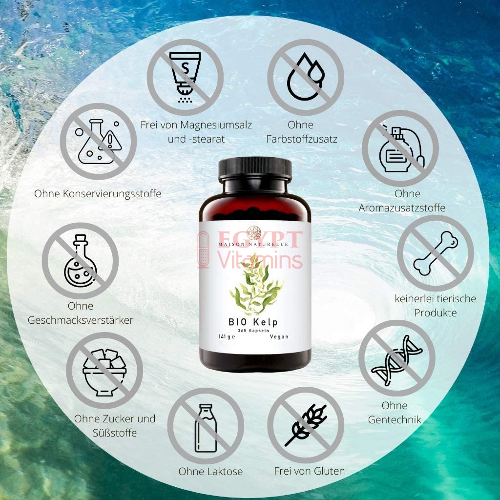 Maison Naturalle Bio Kelp - Organic Brown Algae Capsules (365 Pieces) - 200 μg Iodine per capsule طحالب البحر البنية العضوية ، 200 ميكروجرام يود للكبسولة ، 365 حباية - Image 6