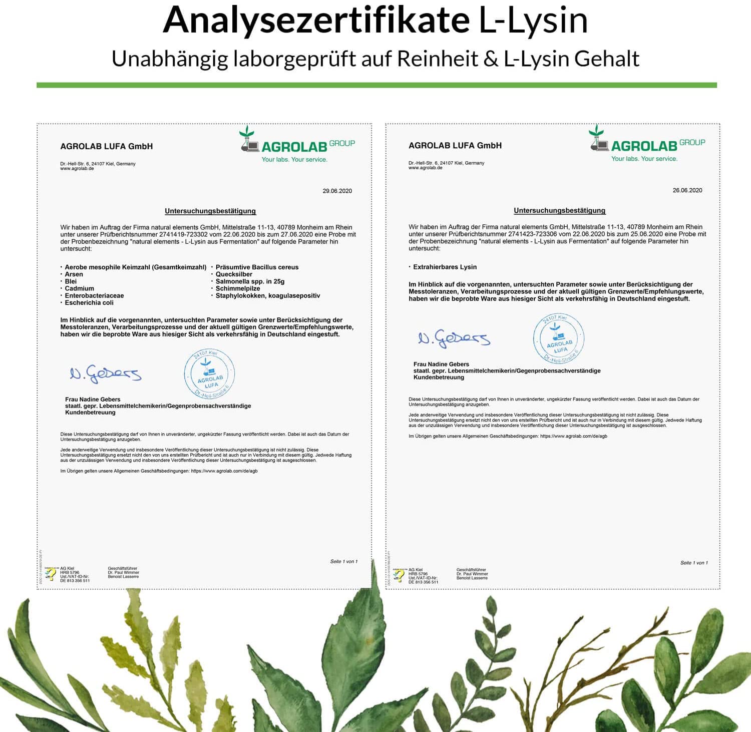 Natural elements L-Lysine,1000 mg ,365 capsules <br/>ناتشرال اليمنتس الليسين النباتى 1000 مجم 365 كبسولة نباتية - Image 2
