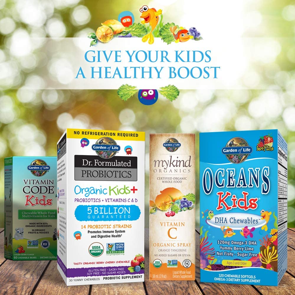 Garden of Life Vegetarian Multivitamin Supplement For Kids, Vitamin Code Kids Chewable Raw Whole Food Vitamin With Probiotics, 60 Chewable Bears جاردين أوف لايف فيتامين كود طعام خام كامل قابل للمضغ مع البروبيوتيك للأطفال 60 دببه قابلة للمضغ - Image 6
