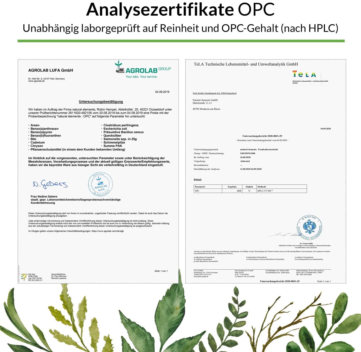 natural elements OPC grape seed extract, 240 capsules for 8 months, laboratory-tested premium OPC from European grapes مستخلص بذور العنب الطبيعى من العنب الأوروبى ، 240 كبسولة ، تكفى 8 أشهر - Image 4