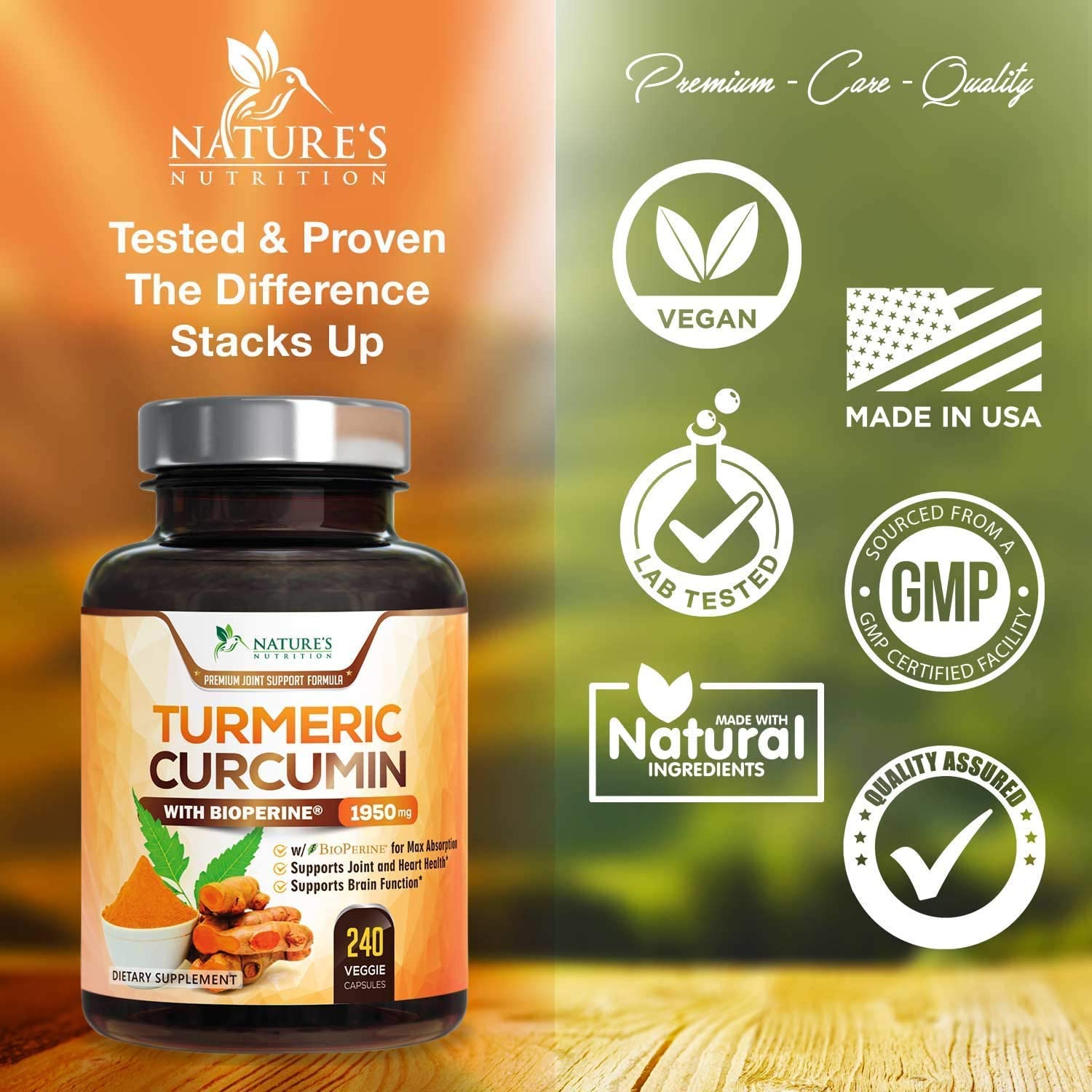 Nature's Nutrition Turmeric Curcumin with BioPerine - 240 Capsules