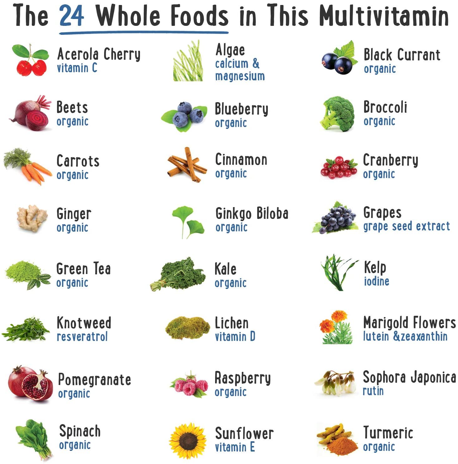 NATURELO Whole Food Multivitamin for Women - with Vitamins, Minerals, & Organic Extracts - Supplement for Energy and Heart Health - Vegan - Non GMO - 120 Capsules فيتامينات غذائية كاملة للنساء ، 120 كبسولة - Image 4
