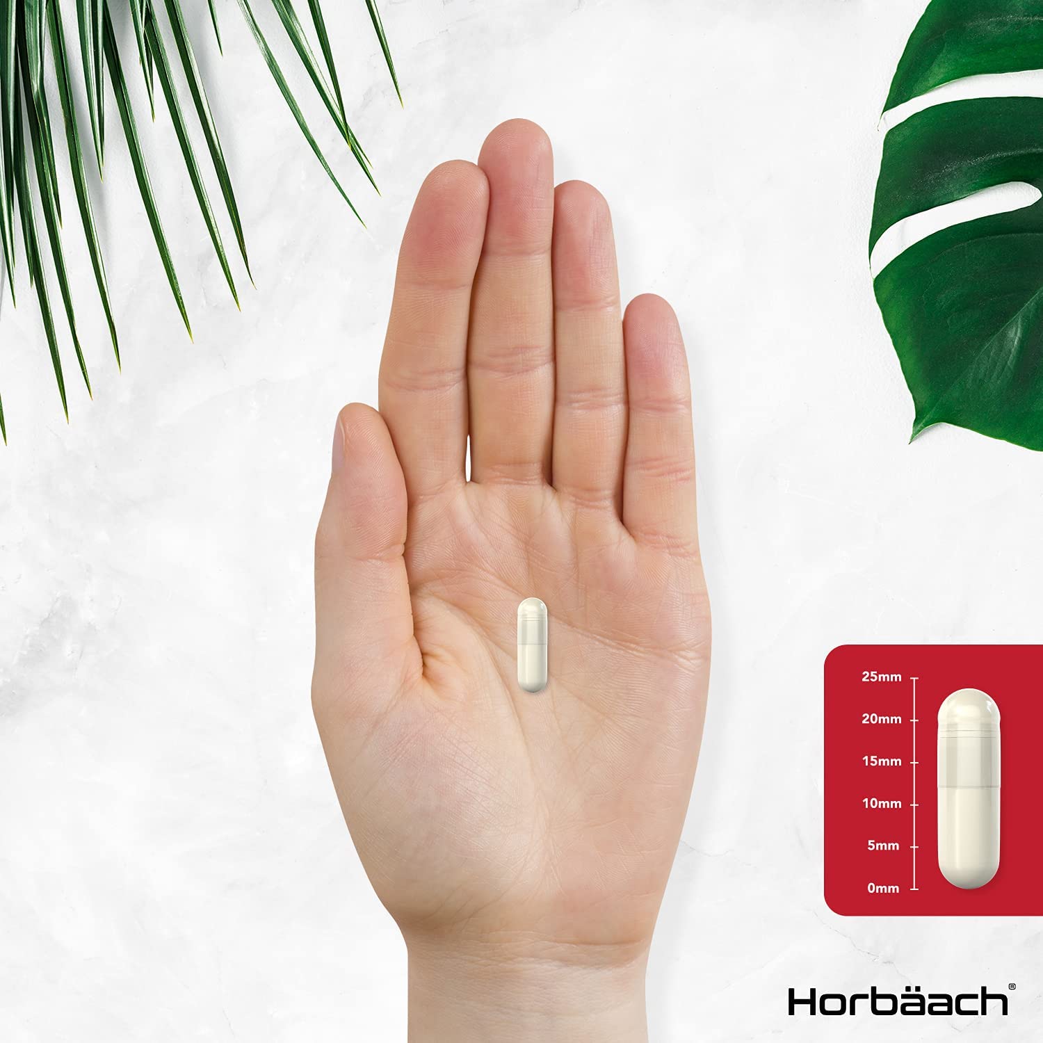 Horbaach Apple Cider Vinegar Capsules | 1800mg 180 Count | High Strength كبسولات خل التفاح | 1800 مجم | 180 قرص | غير معدلة وراثيًا، مكمل غذائي خالٍ من الغلوتين | من هورباتش - Image 3