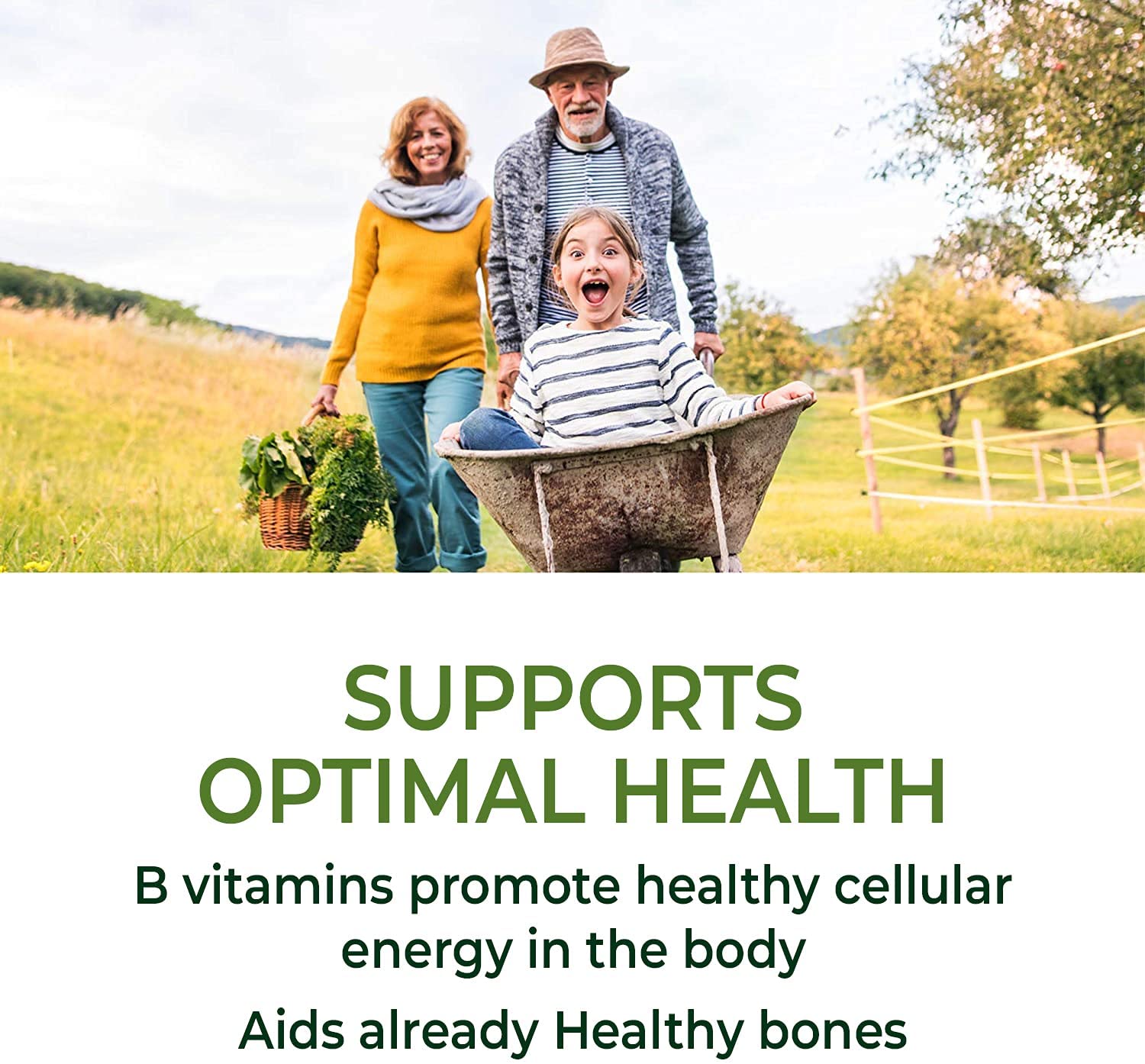 MegaFood, Men Over 55 One Daily, Supports Optimal Health and Wellbeing, Multivitamin and Mineral Dietary Supplement, Vegetarian, 120 Tablets ميجا فود وان ديلى فيتامينات و معادن متعددة للرجال فوق ال 55 عام 120 حباية - Image 5