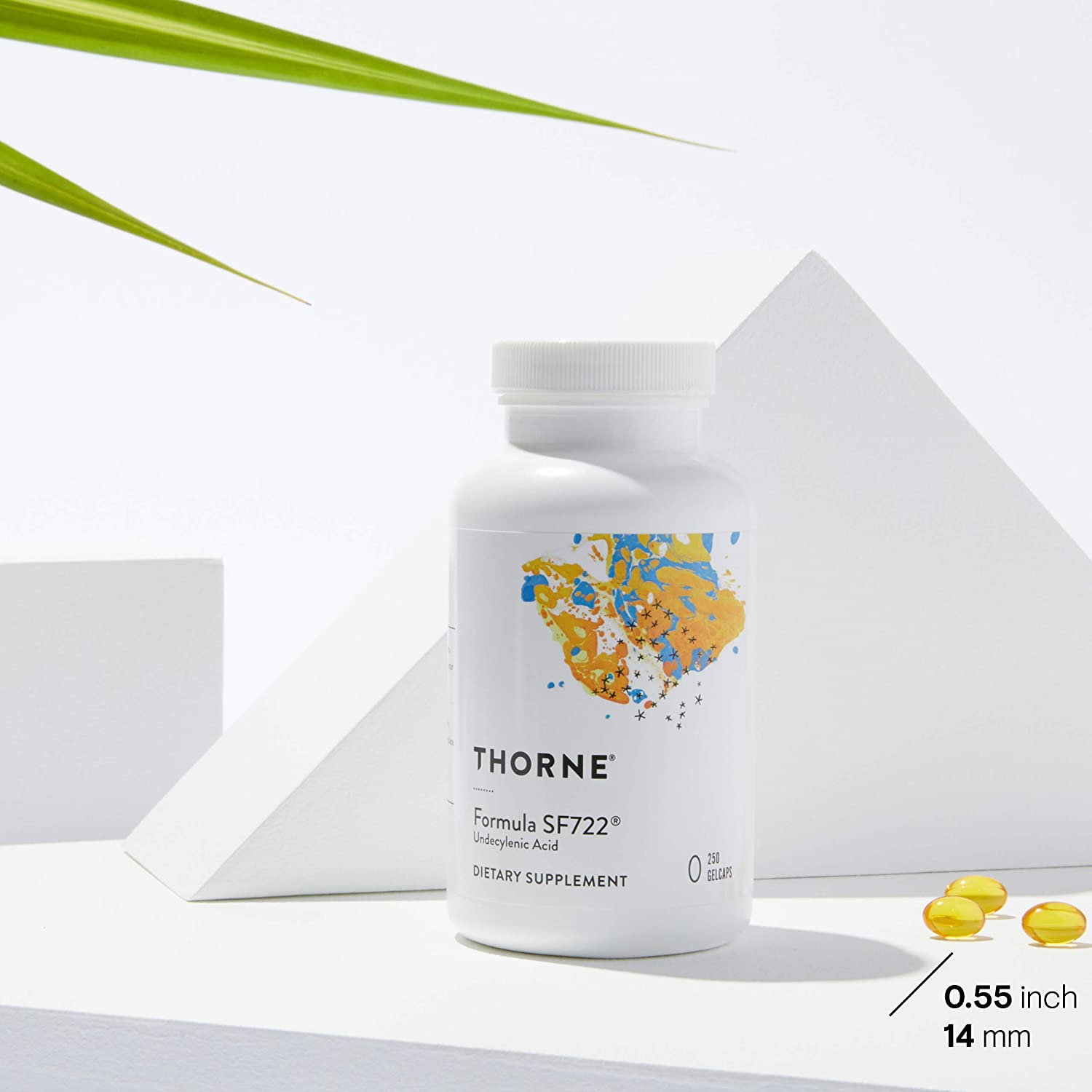 Thorne Undecylenic Acid - 250 mg of Undecylenic Acid - Fatty Acid Support for a Healthy Balance of Gut and Vaginal Flora - Gluten Free - 250 Gelcaps - 50 Servings - Image 4