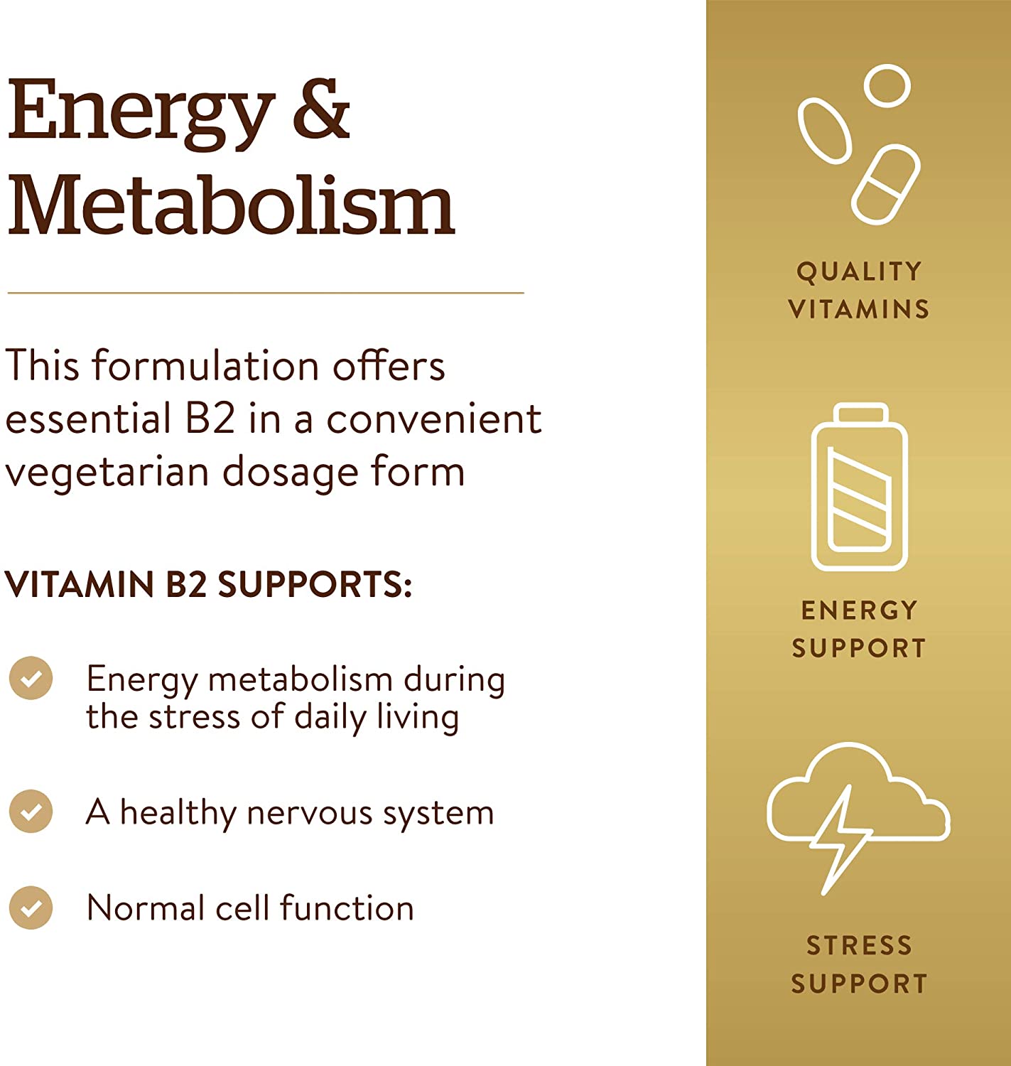 Solgar Vitamin B2 (Riboflavin) 100 mg | 100 Counts - Image 3