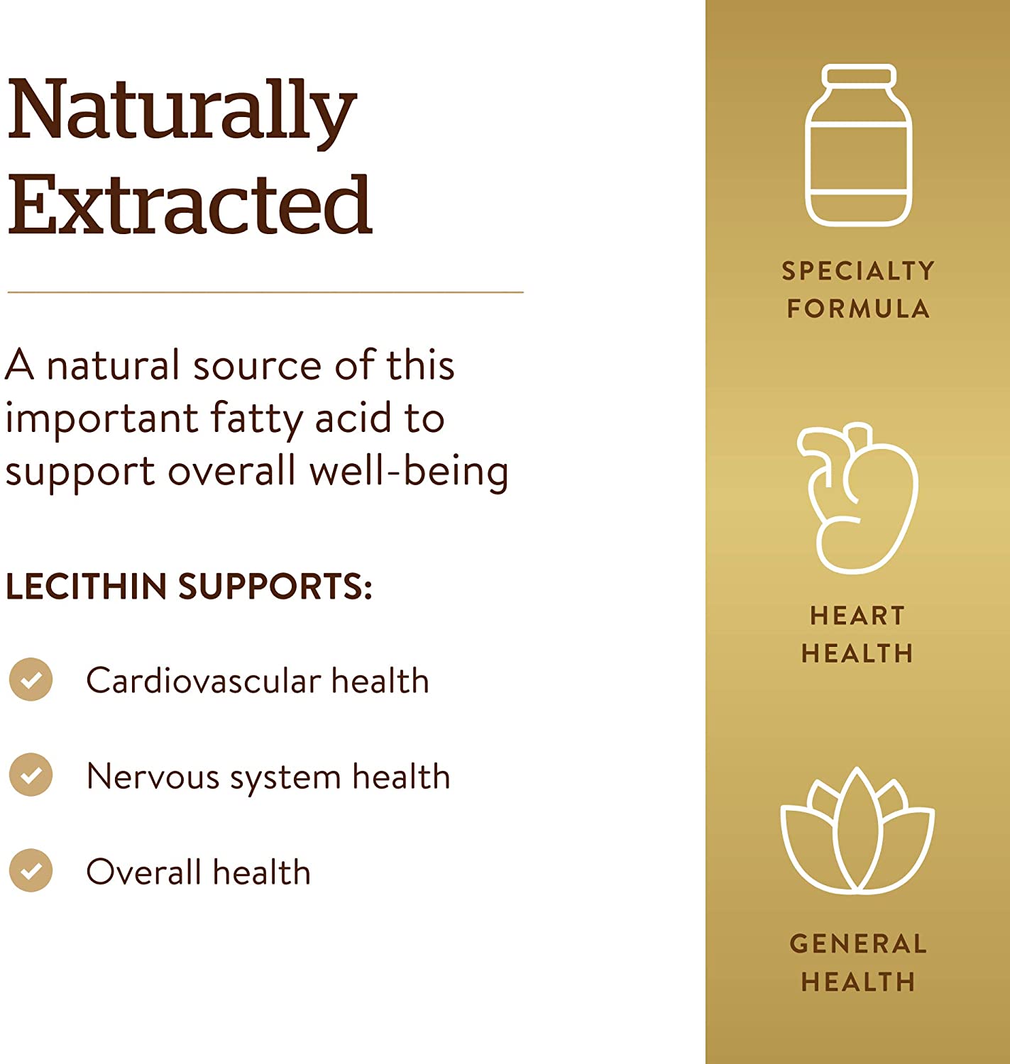 Solgar Lecithin 1360mg – Supports Overall Health – 250 Softgels - Image 6