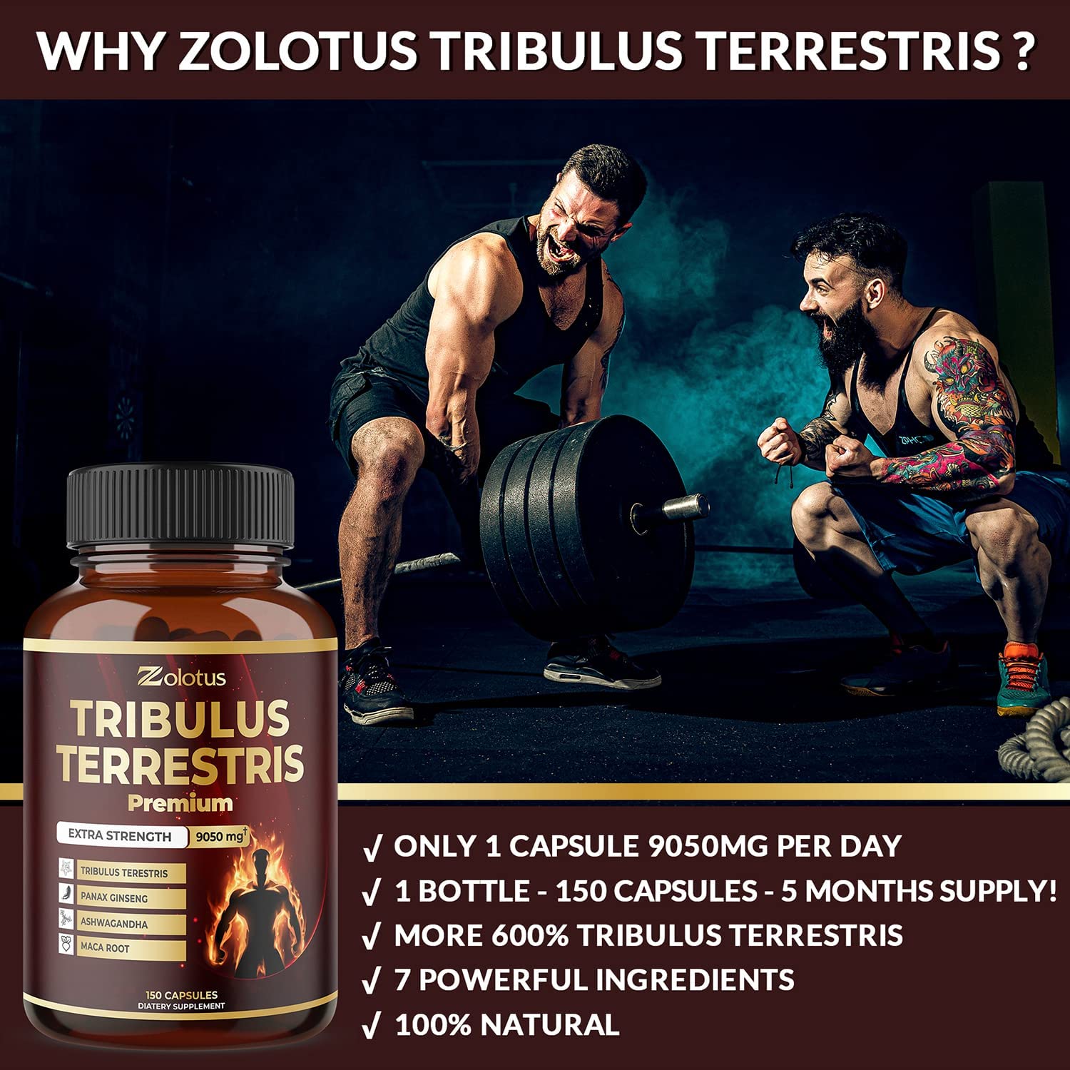 Tribulus Terrestris, 9050mg Per Capsule, 5 Months Supply with Ashwagndha, Panax Ginseng, Saw Palmetto, Maca, Shilajit. Energy, Stamina & Performance Supplement for Men & Womenزولوتس تركيز9050 مجم للكبسولة،يحتوى على الاشواجندا العضوية والجنسنج والماكا السوداء والشيلاجيت ،لزيادة انتاج الطاقة والرغبة الجنسية للطرفين ،150 كبسولة - Image 4