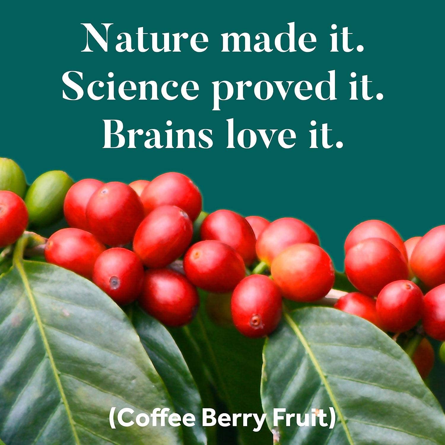 Schiff Neuriva Brain Performance, 42 Capsules - Image 4