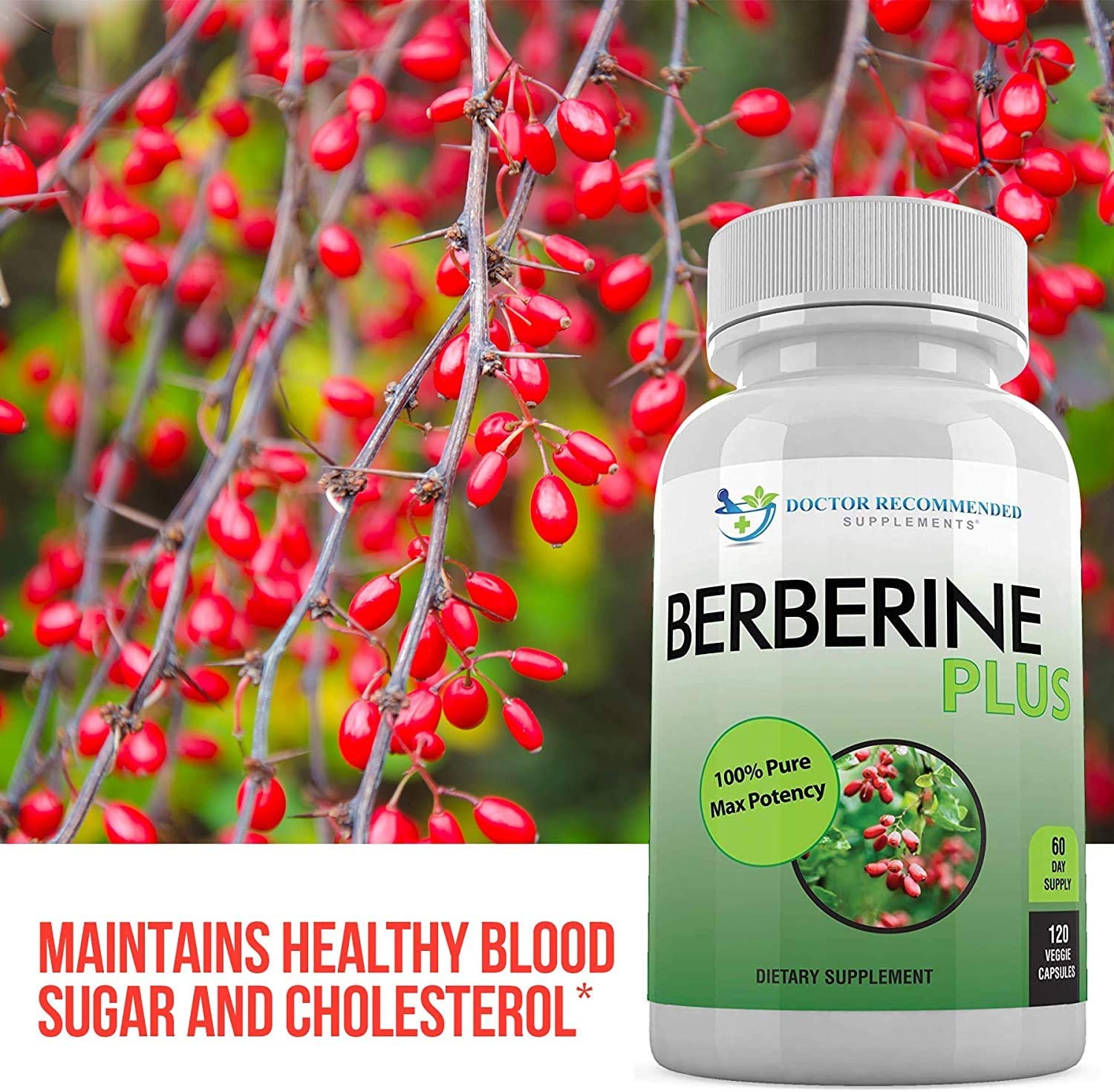 Berberine Plus: Natural Blood Sugar & Weight Support | 120 Capsules - Image 4