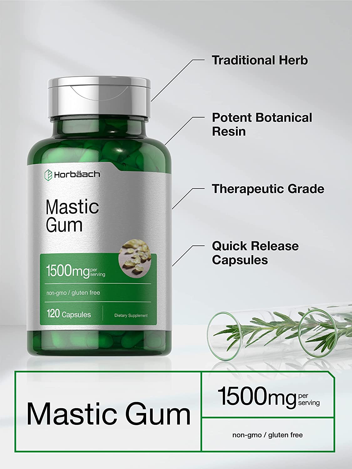 Horbaach Mastic Gum 500mg per capsule,100 Capsules لبان المستكه 500 مجم للكبسولة، لصحة الجهاز الهضمى ، ومضاد للأكسدة ومضاد للإلتهابات ولصحة القلب والأوعية الدموية ، 100 كبسولة - Image 5
