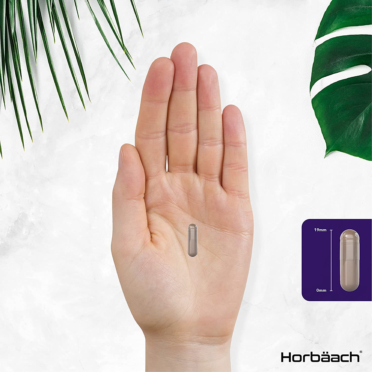 Pure Acai Berry 3000mg | 180 Powder Capsules (6 Months Supply) | Natural Freeze Dried Acai Berries | by Horbaach توت الاكاي 3000 مجم لتعزيز صحة الجهاز المناعي ويحسن صحة الجهاز الهضمي ويقوي القدره الدماغيه - Image 7
