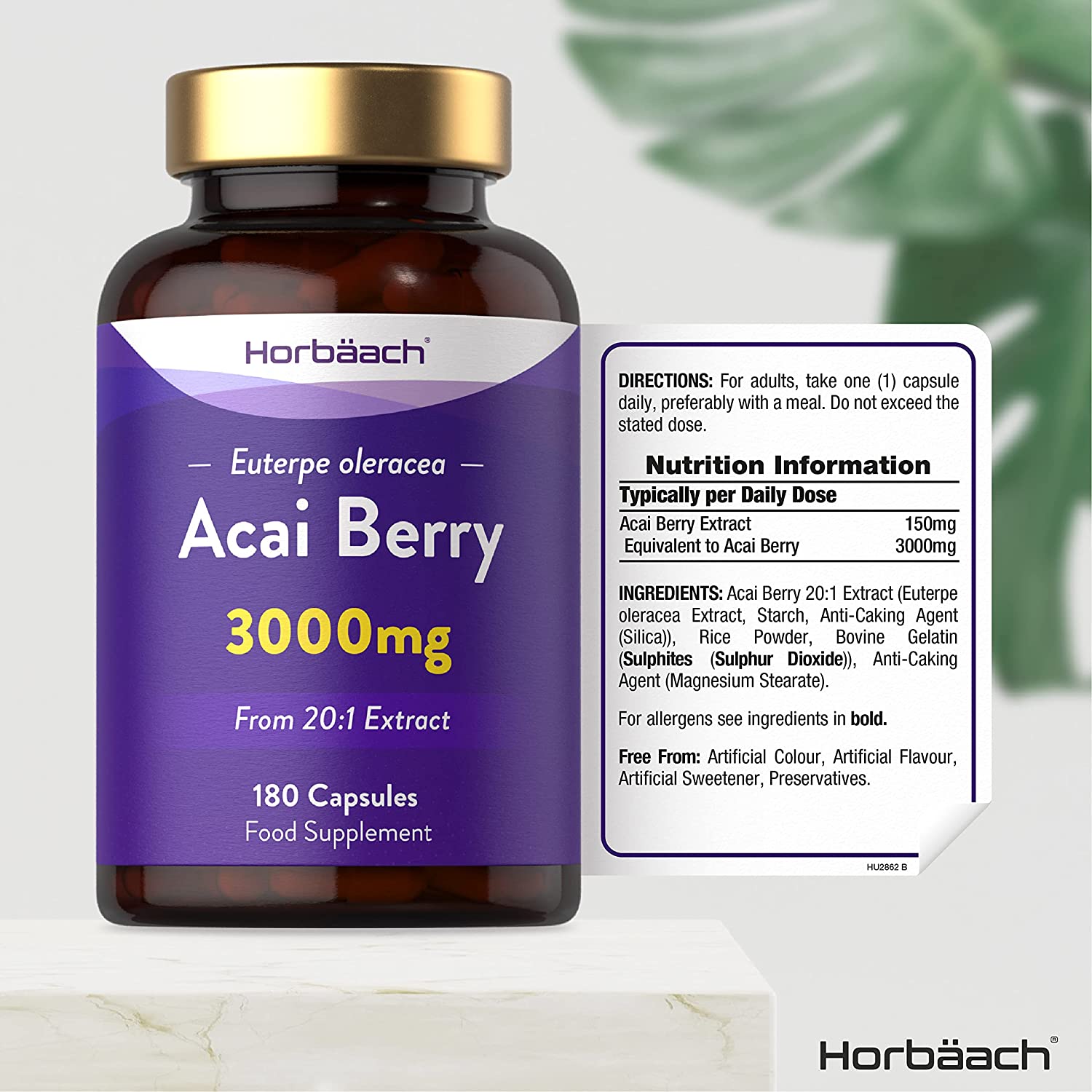 Pure Acai Berry 3000mg | 180 Powder Capsules (6 Months Supply) | Natural Freeze Dried Acai Berries | by Horbaach توت الاكاي 3000 مجم لتعزيز صحة الجهاز المناعي ويحسن صحة الجهاز الهضمي ويقوي القدره الدماغيه - Image 8