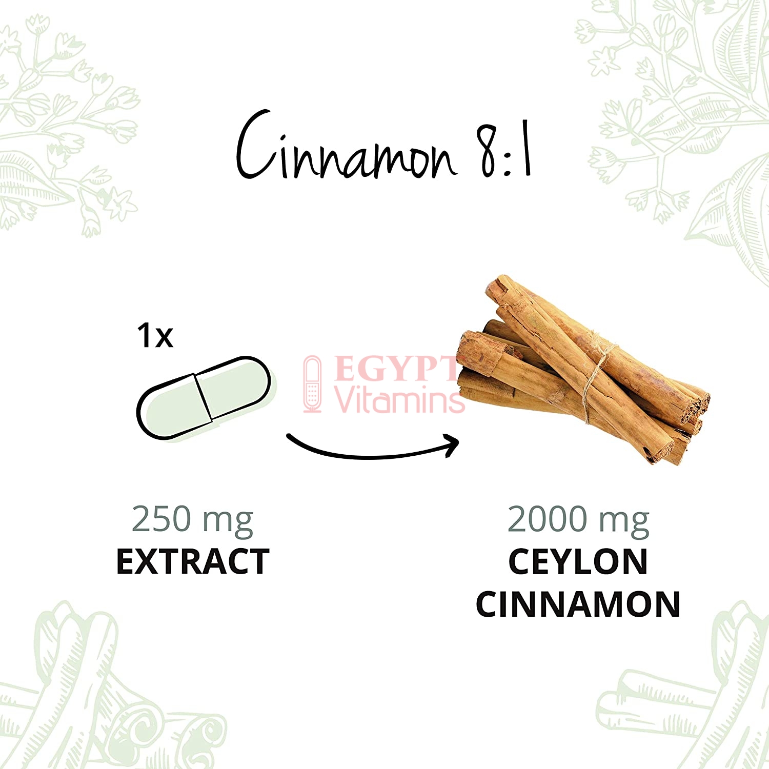 Vegavero Ceylon Cinnamon | High Dosage: 2000 mg (8:1 Extract) per capsule | 120 Capsules قرفة سيلان عالية الجرعة 2000 مجم ، استخلاص 1 : 8 للكبسولة ، 120 كبسولة - Image 6