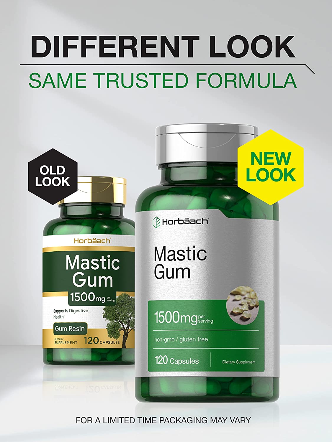 Horbaach Mastic Gum 500mg per capsule,100 Capsules لبان المستكه 500 مجم للكبسولة، لصحة الجهاز الهضمى ، ومضاد للأكسدة ومضاد للإلتهابات ولصحة القلب والأوعية الدموية ، 100 كبسولة - Image 6