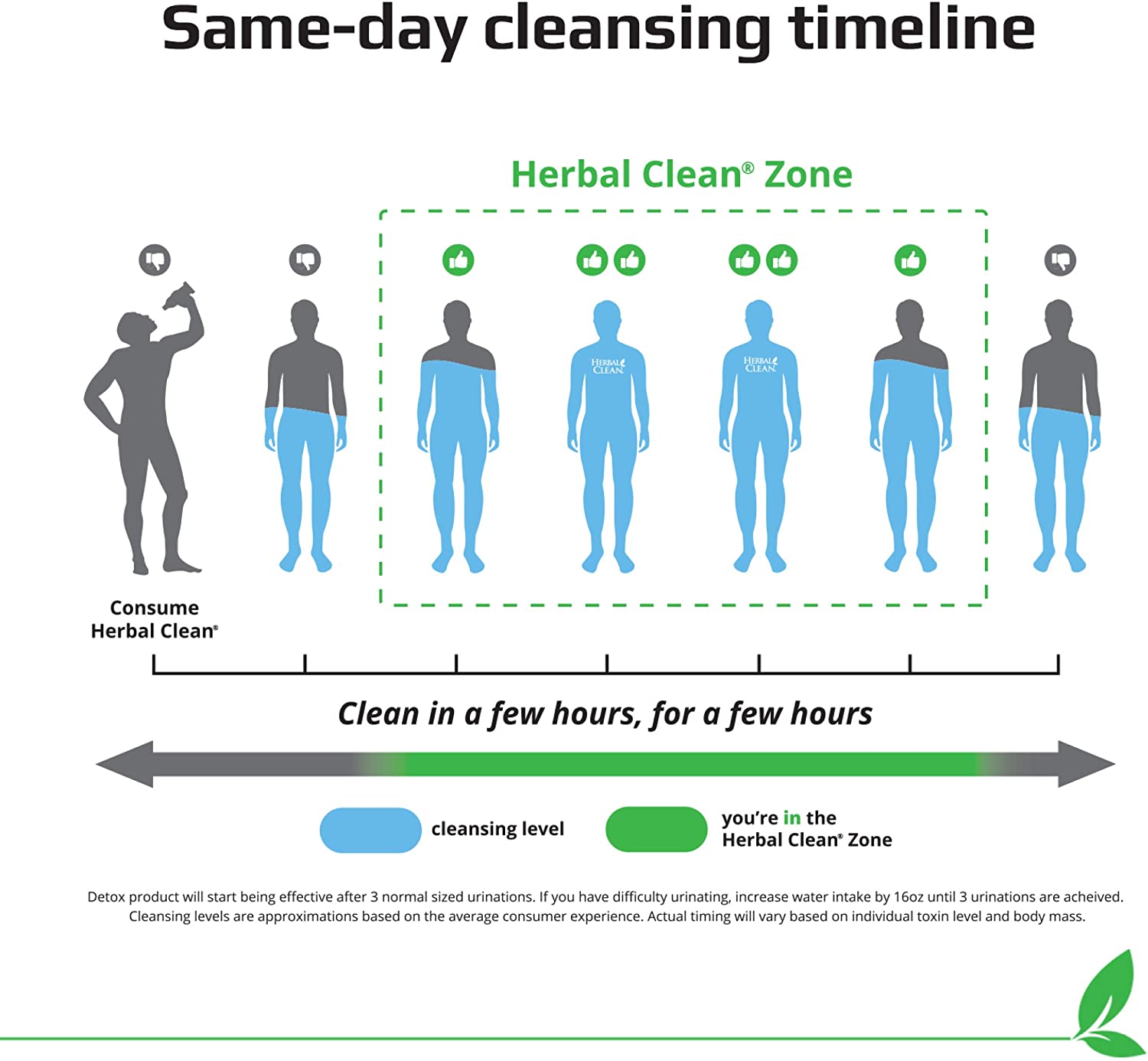 clean your body from detox within few hours
