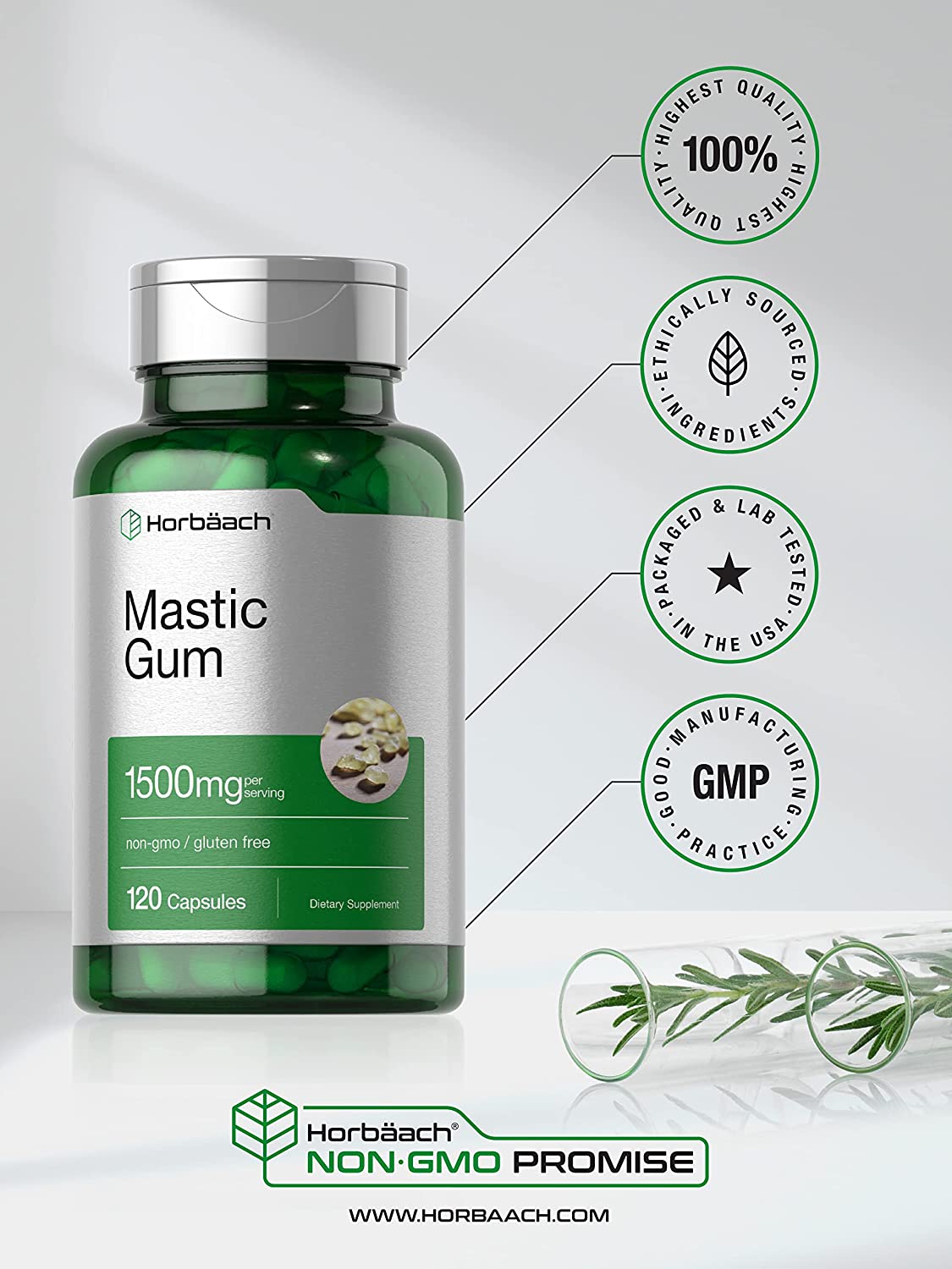 Horbaach Mastic Gum 500mg per capsule,100 Capsules لبان المستكه 500 مجم للكبسولة، لصحة الجهاز الهضمى ، ومضاد للأكسدة ومضاد للإلتهابات ولصحة القلب والأوعية الدموية ، 100 كبسولة - Image 4