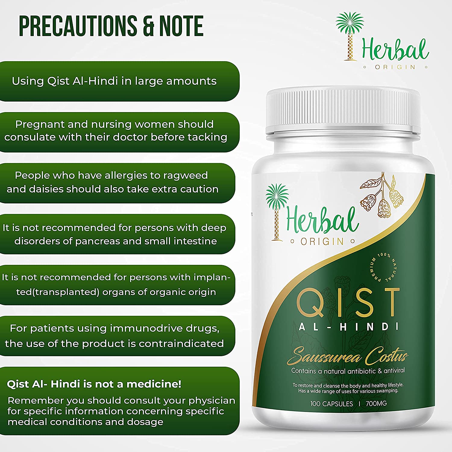 Qist Al-Hindi (Saussurea Costus) | Natural Supplement Non-GMO | Premium Sort of Costus Root | 100 Vegan Capsule - 500MG - Image 3