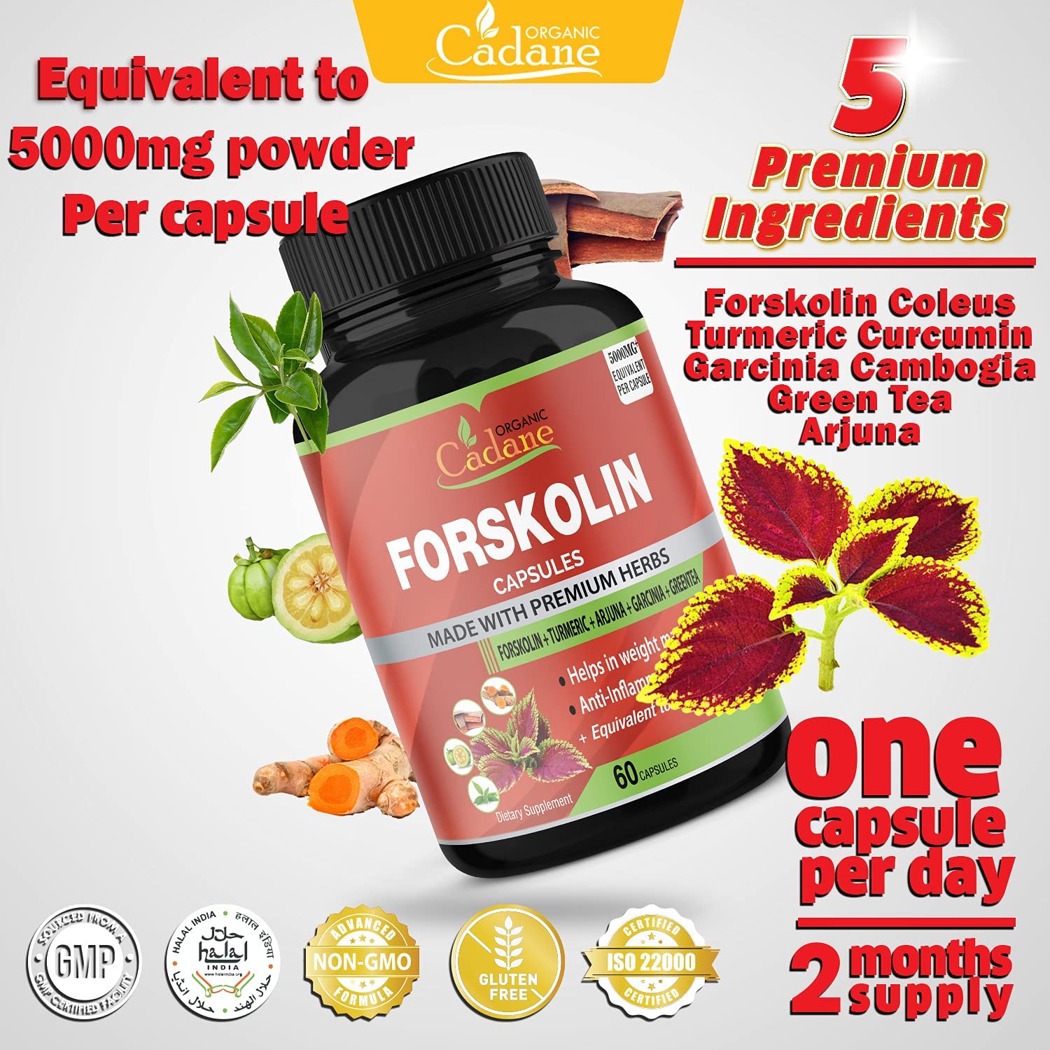 Organic Cadane Organic Forskolin Extract Capsules 5000MG with Turmeric Curcumin, Arjuna, Garcinia Cambogia, Green Tea | Maximum Strength India Supplements | Support Nourishing Diet Coleus Forskohlii, Energy Booster مستخلص فورسكولين العضوى 5000 مجم ، مع الكركم والارجونا والجارسينيا كمبوجيا والشاى الأخضر ، لدعم فقدان الوزن ولدعم إنتاج الطاقة - Image 2