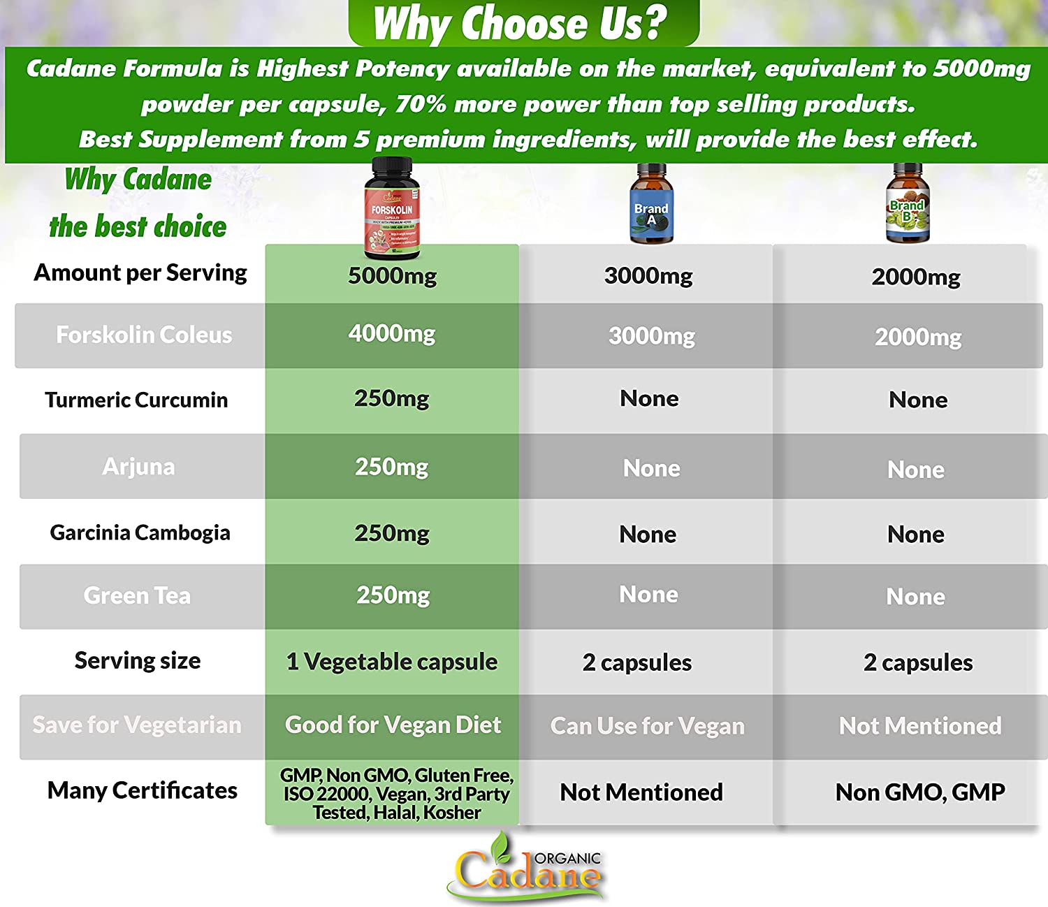 Organic Cadane Organic Forskolin Extract Capsules 5000MG with Turmeric Curcumin, Arjuna, Garcinia Cambogia, Green Tea | Maximum Strength India Supplements | Support Nourishing Diet Coleus Forskohlii, Energy Booster مستخلص فورسكولين العضوى 5000 مجم ، مع الكركم والارجونا والجارسينيا كمبوجيا والشاى الأخضر ، لدعم فقدان الوزن ولدعم إنتاج الطاقة - Image 3