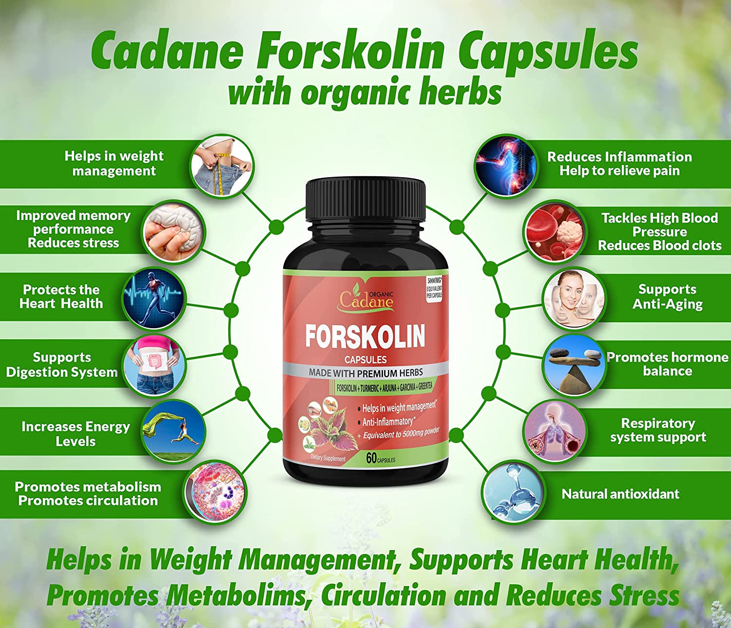 Organic Cadane Organic Forskolin Extract Capsules 5000MG with Turmeric Curcumin, Arjuna, Garcinia Cambogia, Green Tea | Maximum Strength India Supplements | Support Nourishing Diet Coleus Forskohlii, Energy Booster مستخلص فورسكولين العضوى 5000 مجم ، مع الكركم والارجونا والجارسينيا كمبوجيا والشاى الأخضر ، لدعم فقدان الوزن ولدعم إنتاج الطاقة - Image 4