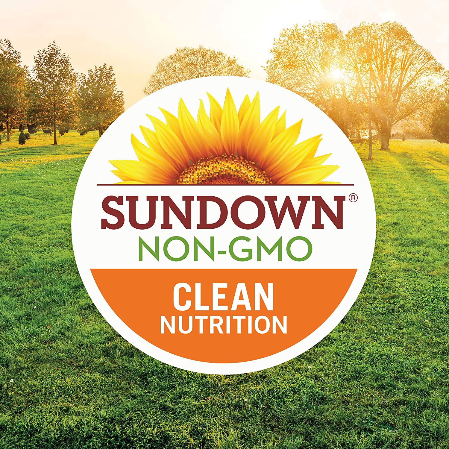 Sundown Naturals Saw Palmetto 450 mg, 250 Capsules بلميط منشاري ناتشورالز من صن داون 450 مجم، 250 كبسولة - Image 5