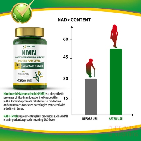 vantein NMN Supplement 500MG, 120 Capsules NMN Powder for Supports Anti-Aging, Longevity and Energy, Enhance Concentration, Naturally Boost NAD+ Levels