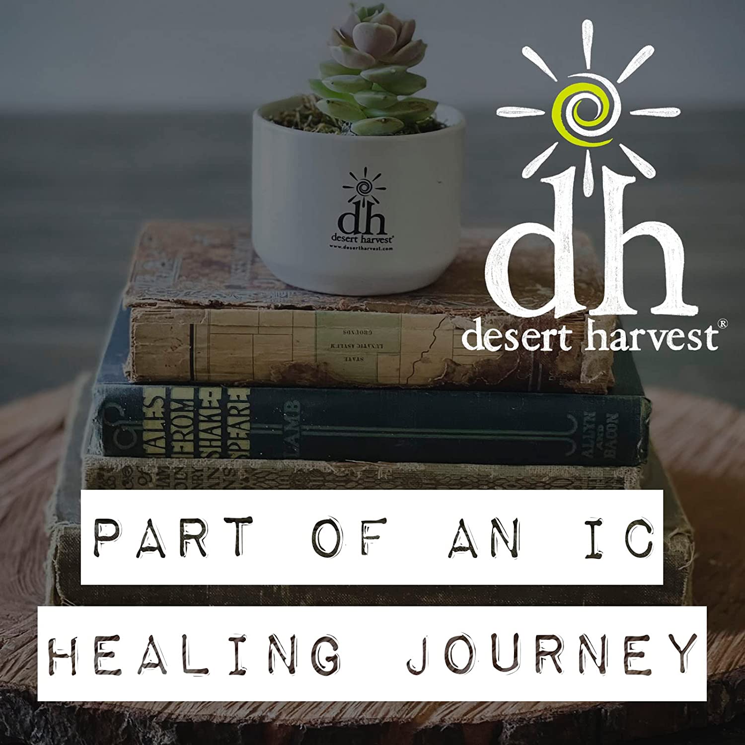 Desert Harvest Aloe Vera, 180 Capsules