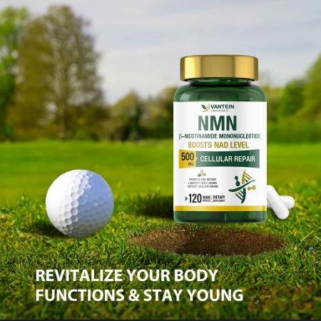 vantein NMN Supplement 500MG, 120 Capsules NMN Powder for Supports Anti-Aging, Longevity and Energy, Enhance Concentration, Naturally Boost NAD+ Levels