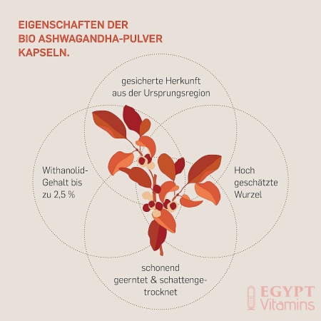 Kurkraft® Original Bio Ashwagandha - High Dose - Real Indian Sleepberry - Vegan, Laboratory Tested, German Production