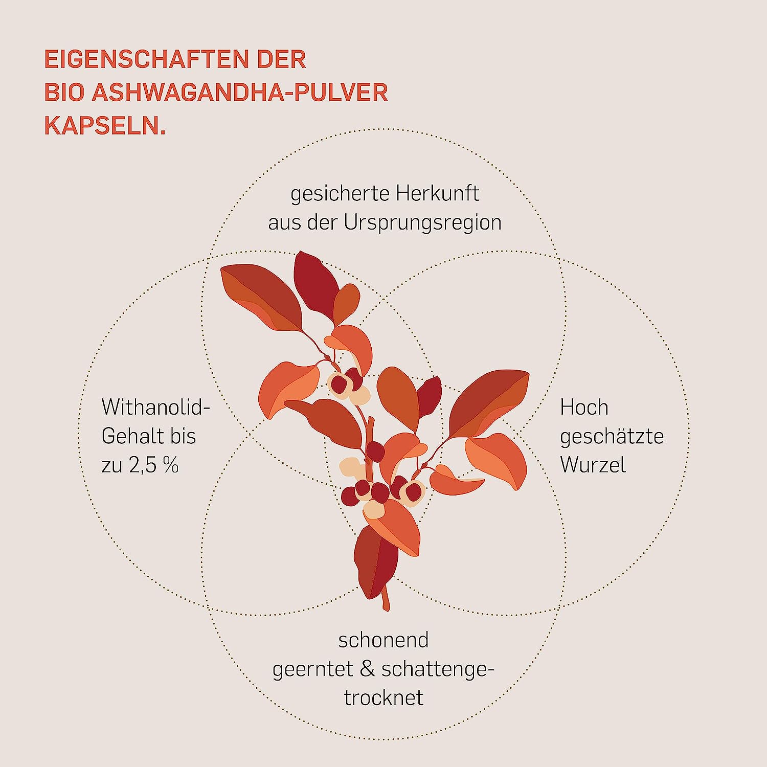 Kurkraft® Original Bio Ashwagandha - High Dose - Real Indian Sleepberry - Vegan, Laboratory Tested, German Production