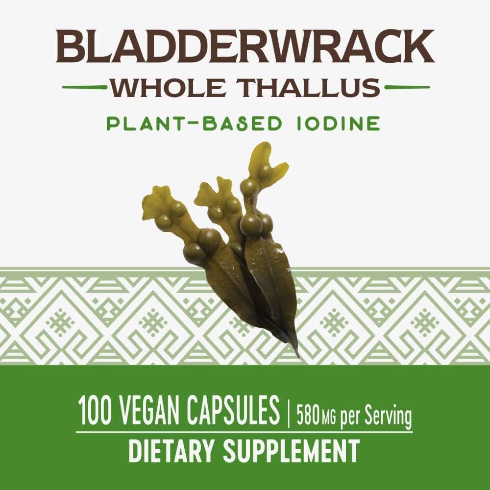 Nature's Way Premium Herbal Bladderwrack Whole Thallus 580 mg, 100 Count - Image 6