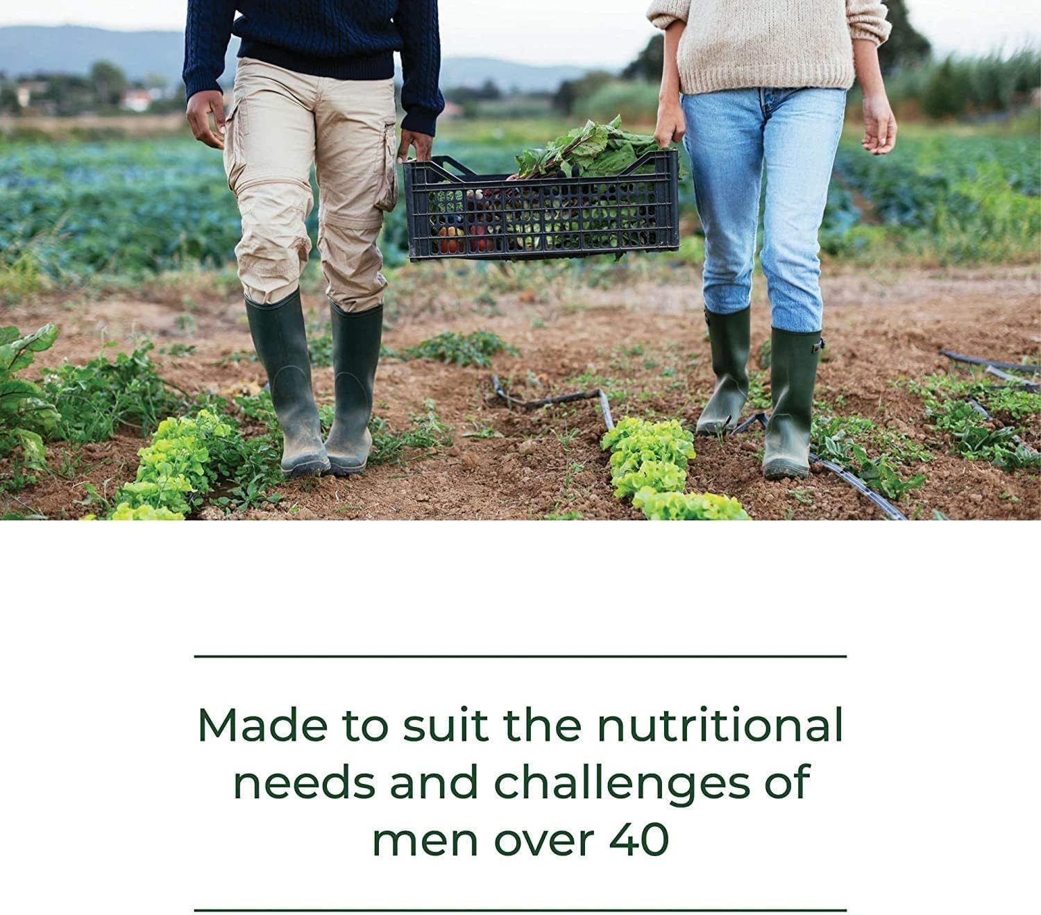 MegaFood Men's 40+ One Daily Multivitamin for Men With Vitamin B, Vitamin D3, Selenium, Zinc & Real Food - Immune Support, Energy Metabolism, and Muscle & Bone Health – Non GMO; Vegetarian - 90 Tabletss - Image 6