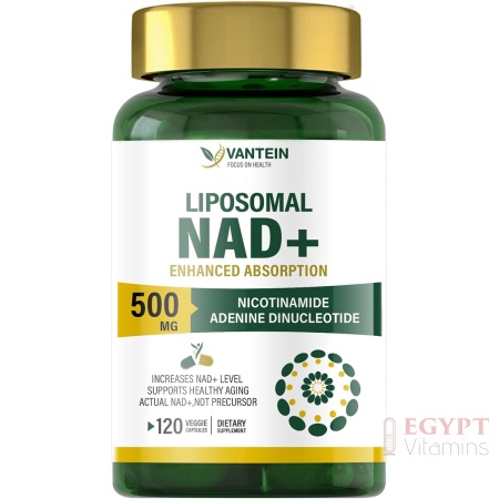 Liposomal NAD+ 500 mg Supplement, Ultra Purity High Absorption, Boost NAD+ More Efficient Than NMN, Nicotinamide Riboside Alternative for Anti-Aging & Antioxidant, Metabolism and Energy - 120 Veg Caps