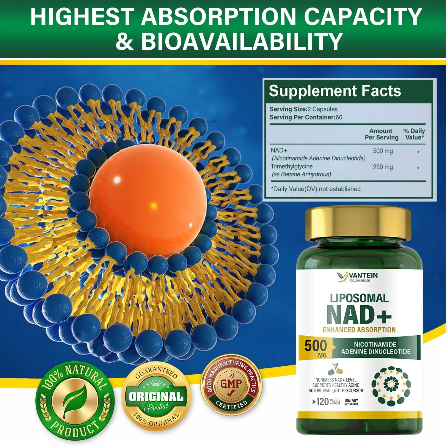 Vantein | Liposomal NAD+ 500mg | Direct Cellular Energy Support | 120 capsules - Image 2