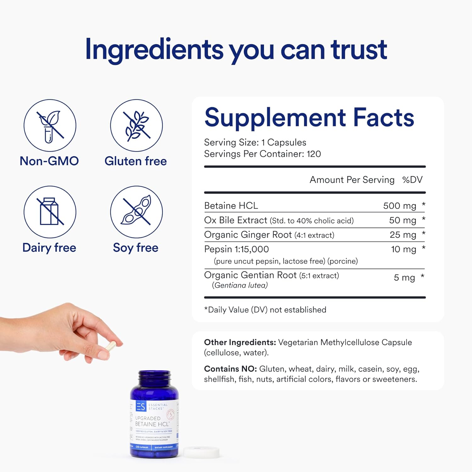 Betaine HCL Supplements for Digestive Health | Essential Stacks | 120 Capsules - Image 2