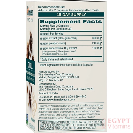 ingredients of
